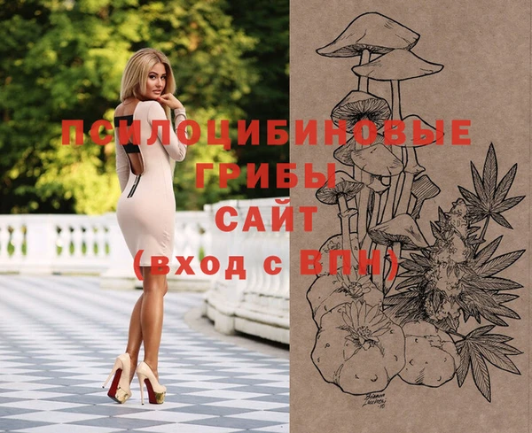 соль курить ск Белокуриха