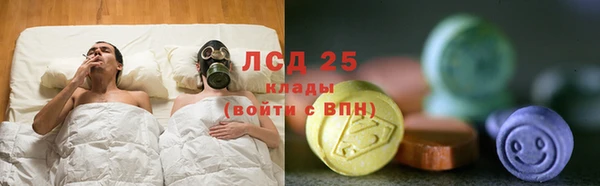 spice Беломорск