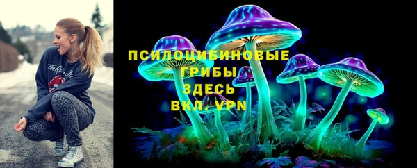 спиды Корсаков