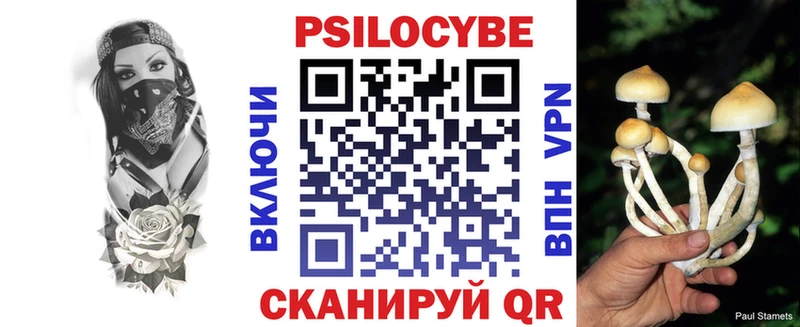 Купить закладки  Когалым  Галлюциногенные грибы Cubensis 